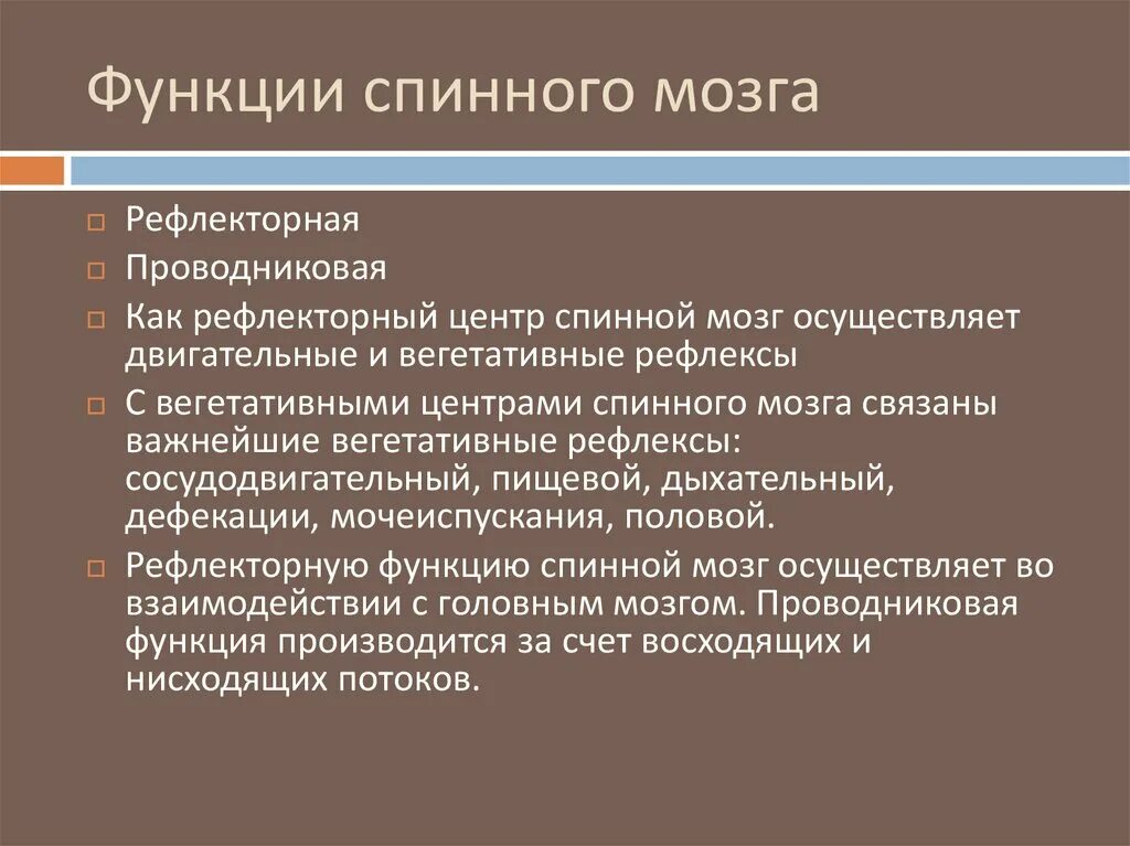 Каковы функции спинного. Рефлекторная и проводниковая функции спинного мозга. Рефлекторная и проводниковая функции. Функции рефлекторной и проводниковой спинного мозга. Функции мозга рефлекторная и проводниковая.