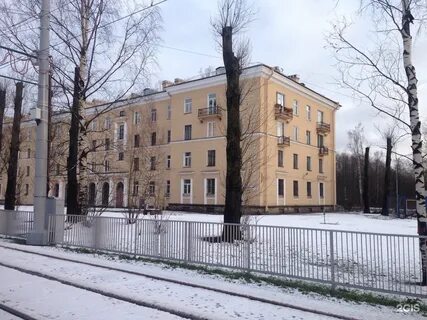 Рябовское шоссе