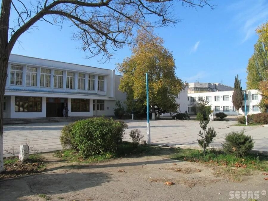 школа 29 рыбинск. двадцать девятая школа. 24 школа псков. школа 20 рыбинск.