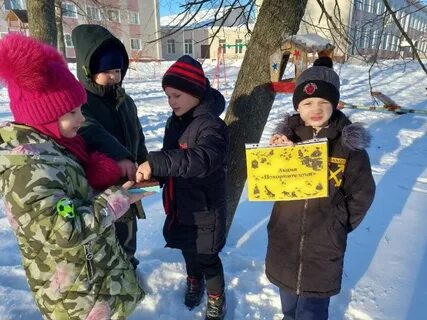 Покормите птиц зимой 2024
