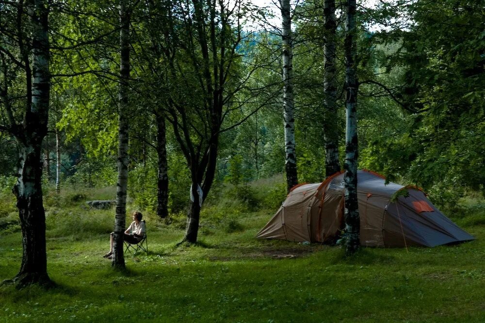 Tourism ecotourism. Экологический туризм. Рекреационные леса. Экотуризм. Экотуризм в лесу.