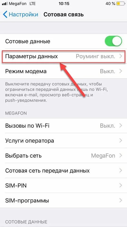 Сетевая настройка режима модема на айфон. Режим модема iphone 8 плюс. Сотовая сеть передачи данных на iphone режим модема. Режим модема на айфон 14.