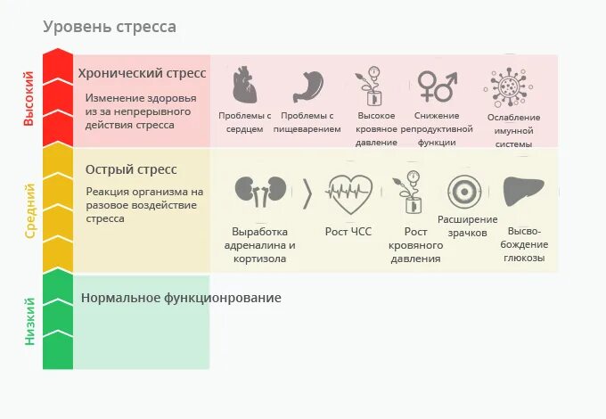 Стресс пробы. Уровень стресса. Оценка уровня стресса. Уровни стрессоустойчивости. Показатели уровня стресса.