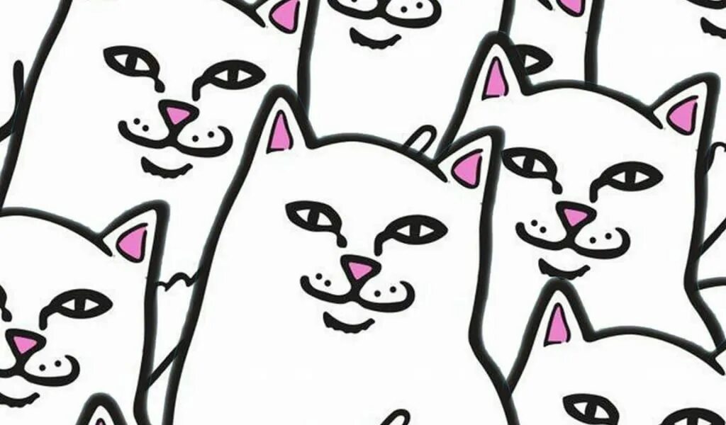 Фоны с котами мем видео