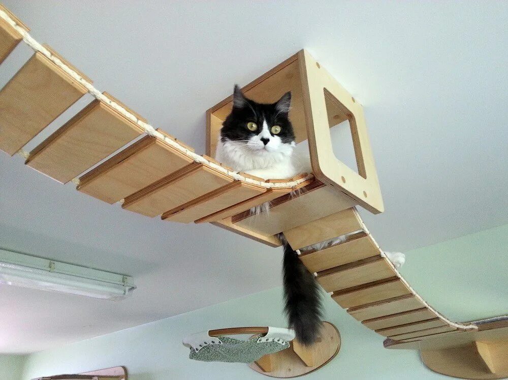 Cat playground