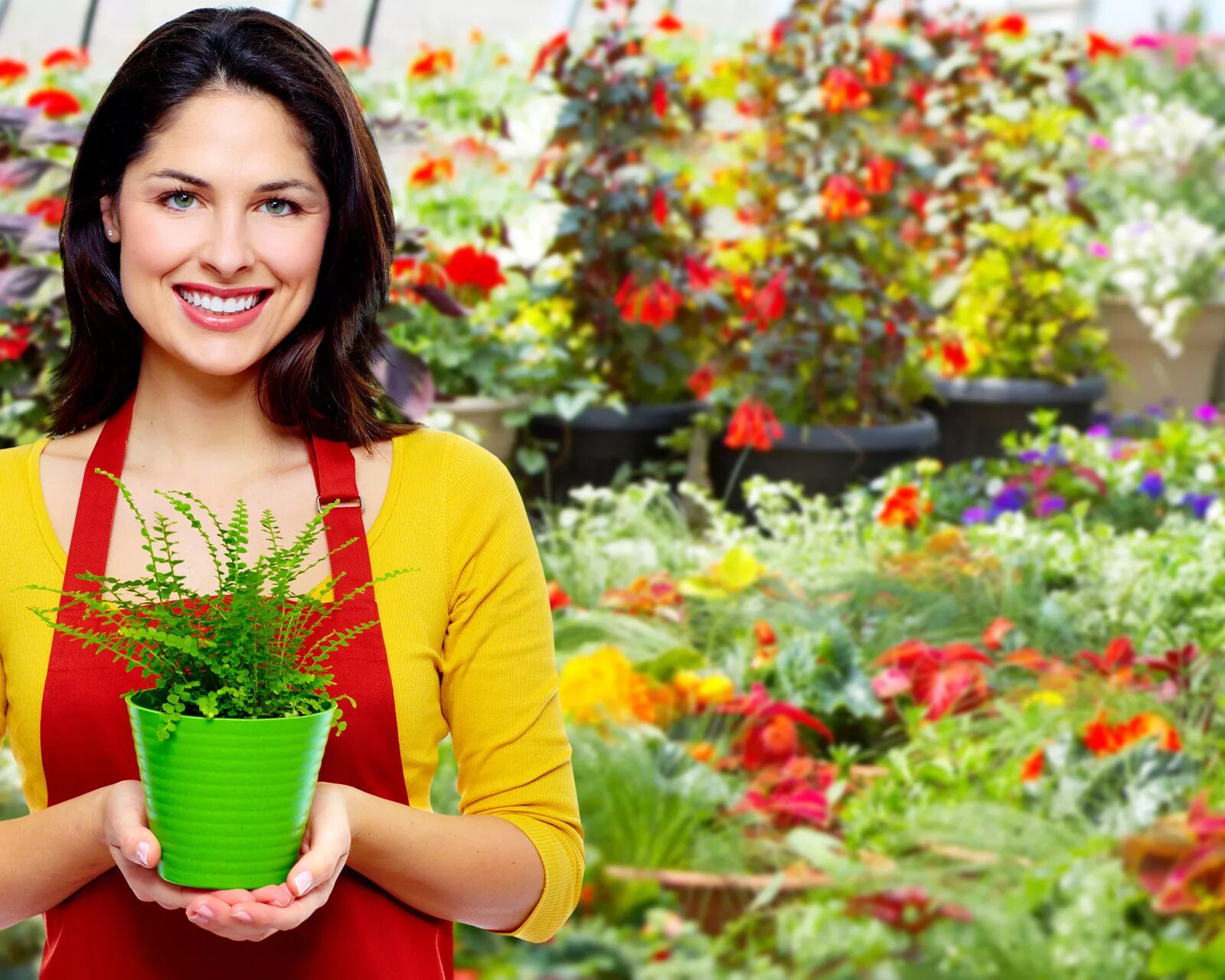 Девушка садовник. Женщина огородница. Женщина садовник. Пожилая женщина на даче в цветах. Пенсионеры на даче.