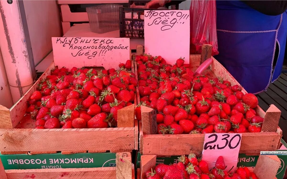 Рассада виктории с цветом. Клубника 250 рублей за килограмм. Местная клубника. Сенной рынок клубника. Кг клубники.
