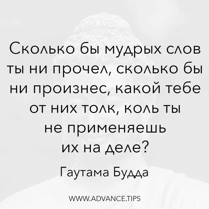 Толка от них нет. Толка от них нет