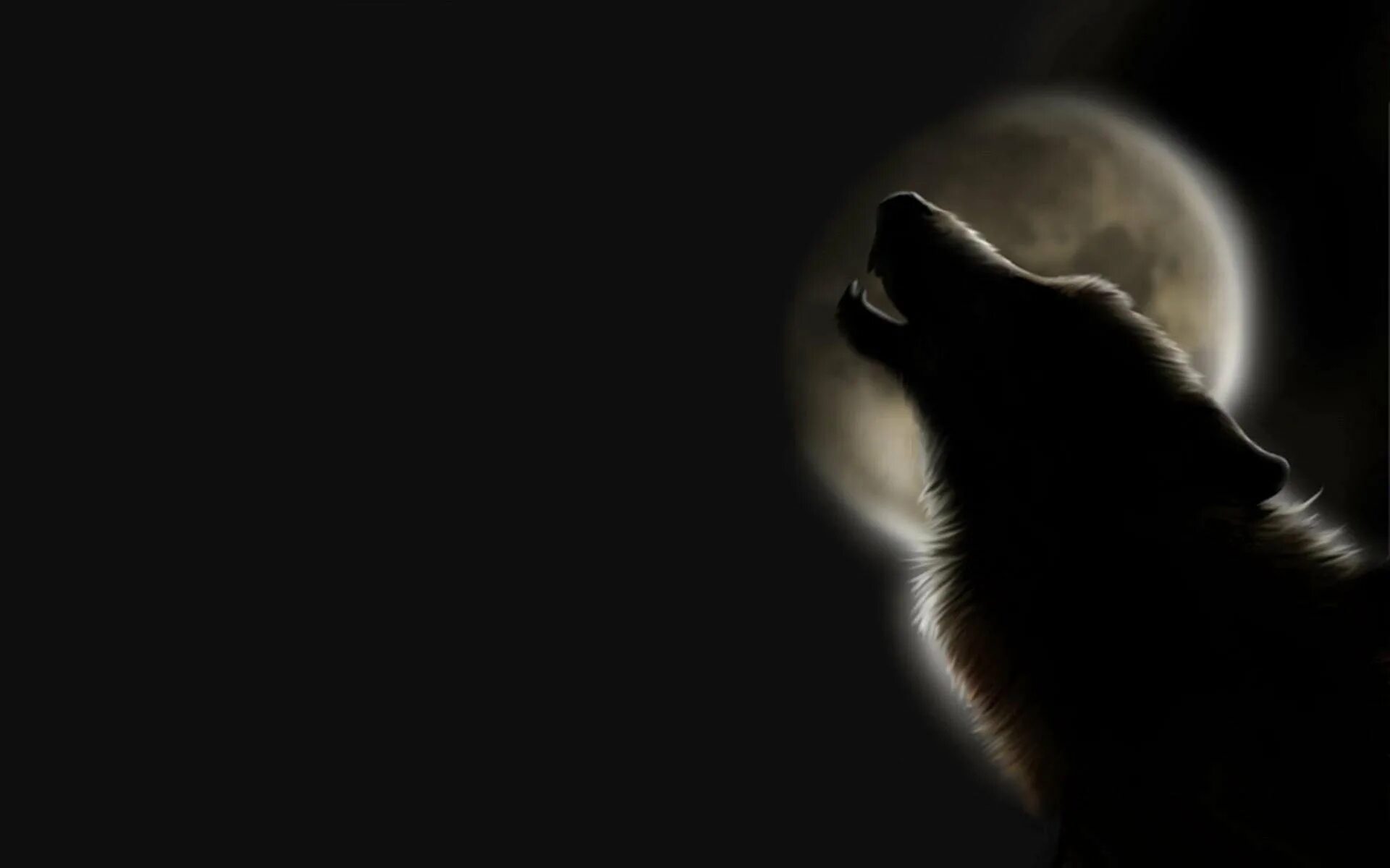 Девушка воет на луну. Душа волка. А волки гораздо добрее. Волчицы вой эдуард хуснутдинов. Воет волк от тоски.