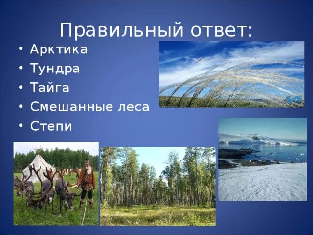 Тайга и тундра. Тайга тундра степь. Тундра тайгалица тундра степи. Презентация о тундре и тайге. Различия между степью и тундрой