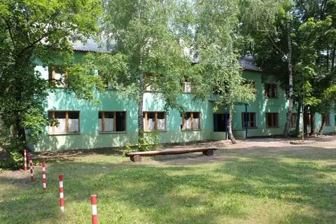 Сосновый бор воронеж