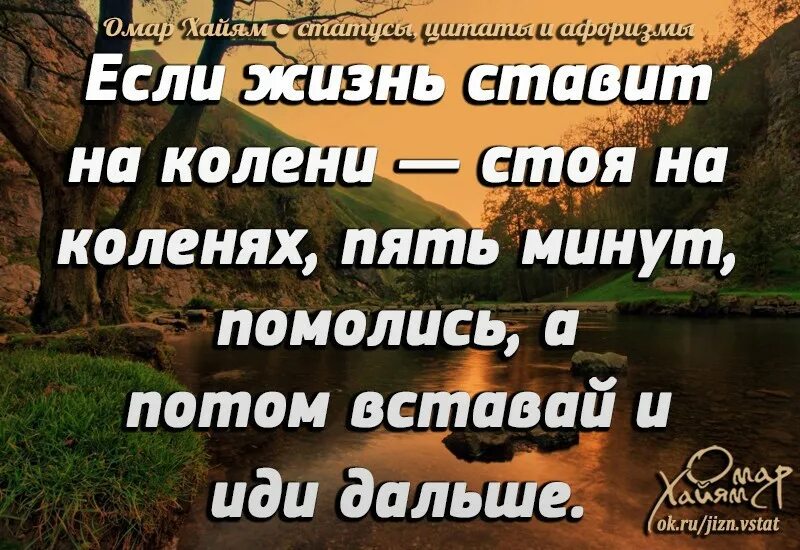 Сильных жизнь ставит. Жизнь поставила на колени. если жизнь тебя поставила на колени. цитаты про жизнь поставит на колени. когда жизнь ставит на колени.
