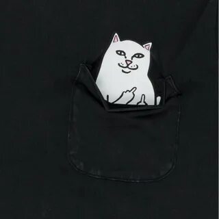 Мемный черно белый кот