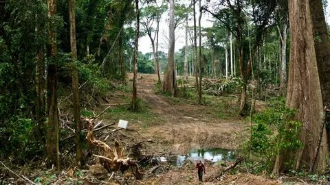 Poor environment