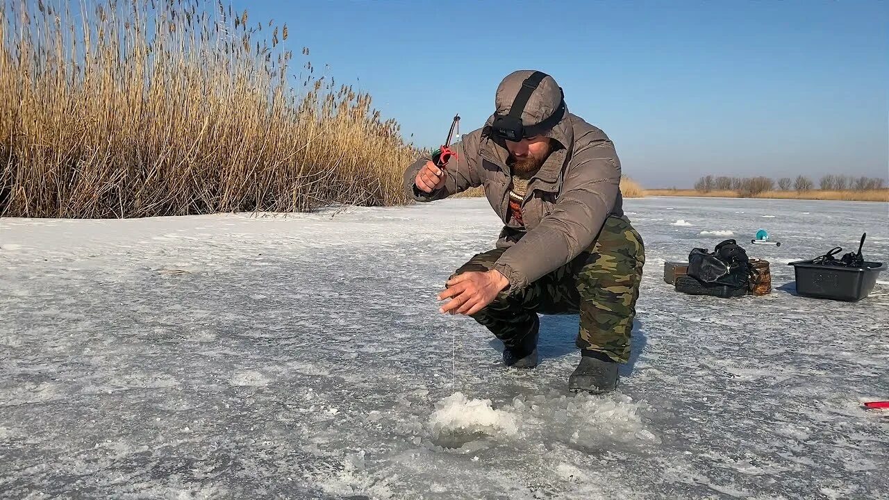 Подледная рыбалка. Рыбалка на сазана зимой. Видео по зимней рыбалке. Рыбалка видео. Зимняя рыбалка фото.