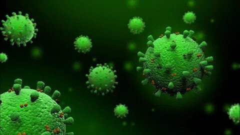Non virus