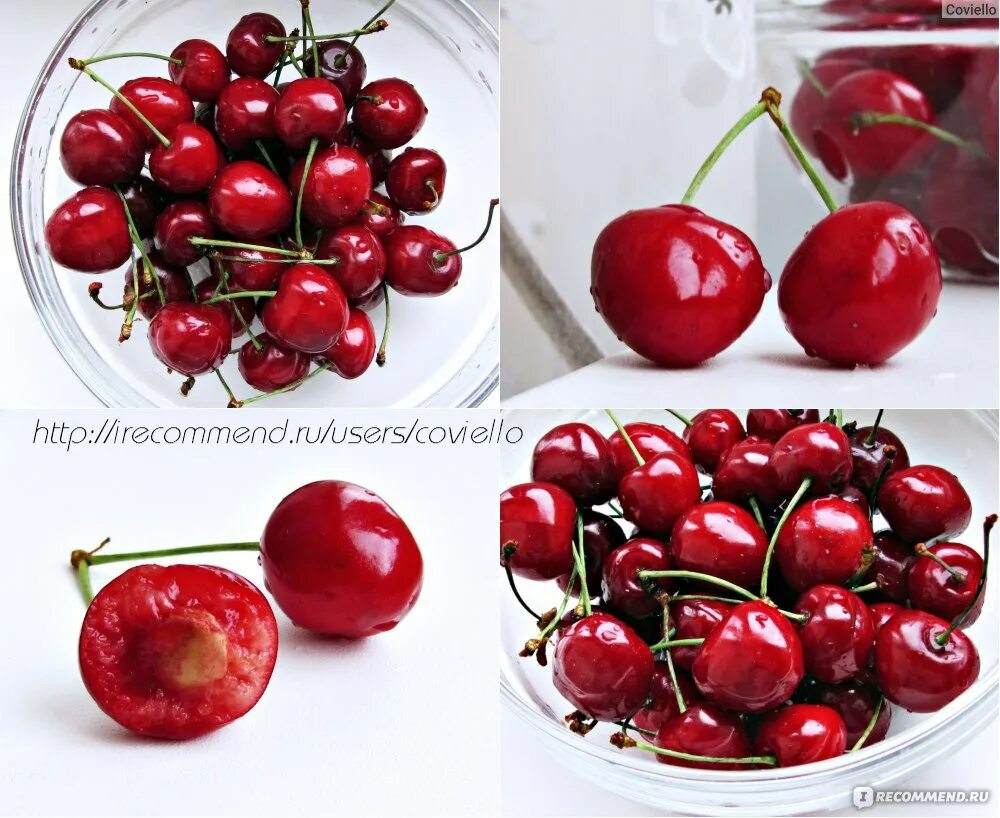 Черешня и вишня отличия внешние. Черешня от вишни. Как отличить вишню от черешни. Вишня и черешня отличия. Различие вишни и черешни.