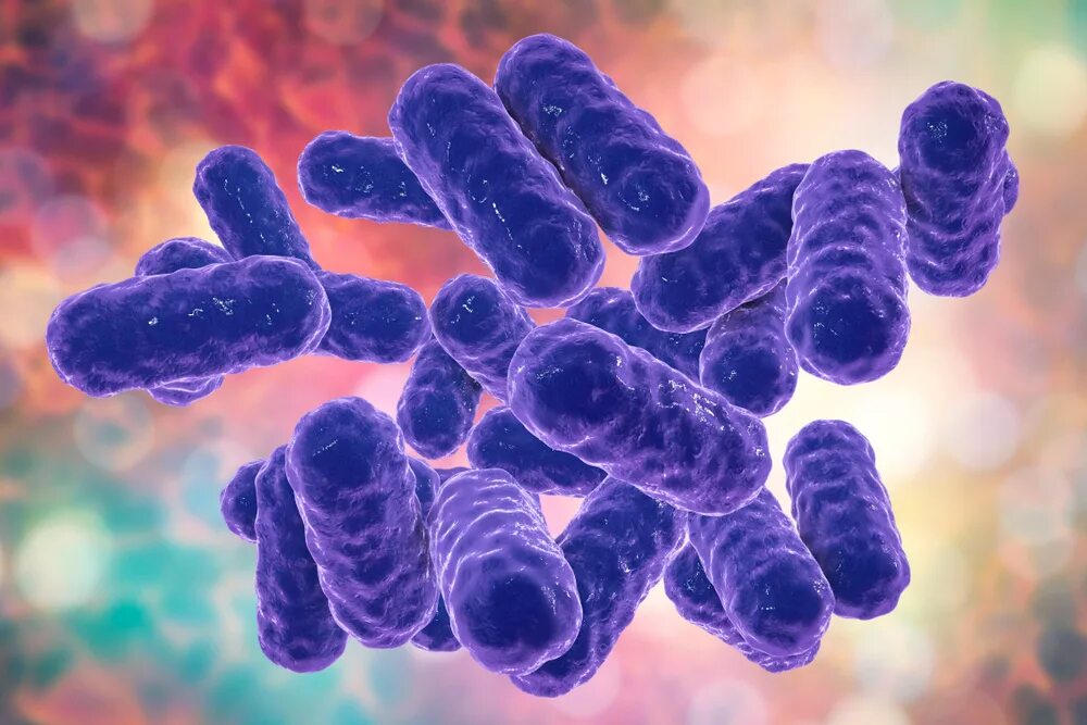 Микроорганизмы enterobacteriaceae. Enterobacter бактерии. грамнегативные палочковидные микроорганизмы. cloacae бактерия. пурпурные бактерии.