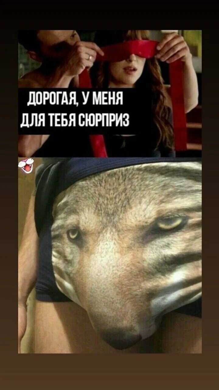 Мем с трусами. Трусы с волком мем. трусы с волком ожидание и реальность. трусы с волком прикол реальность. волк на трусах ожидание реальность.