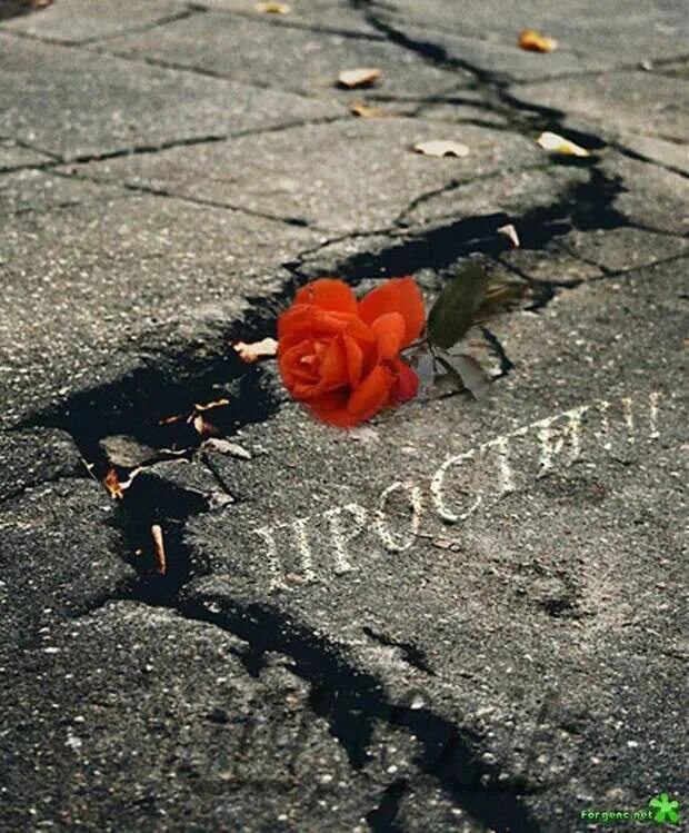 Не надо навсегда