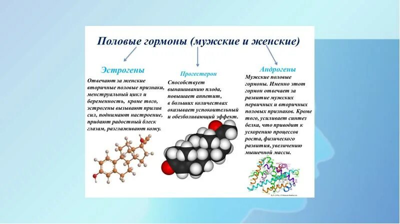 Половые гормоны и их физиологические функции. Половые гормоны андрогены эстрогены. Химическая структура половых гормонов. Биологические различия. Половые гормоны. Гормоны женских органов