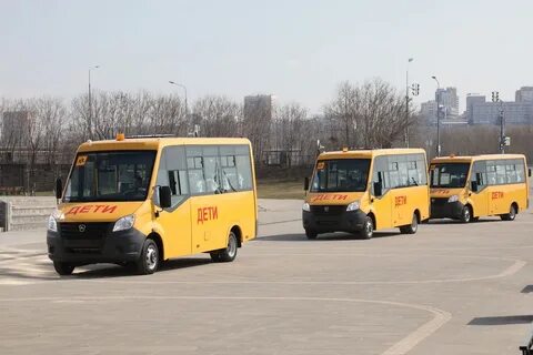 Сланцы новый школьный автобус