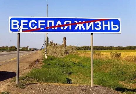 Сладкая веселая жизнь