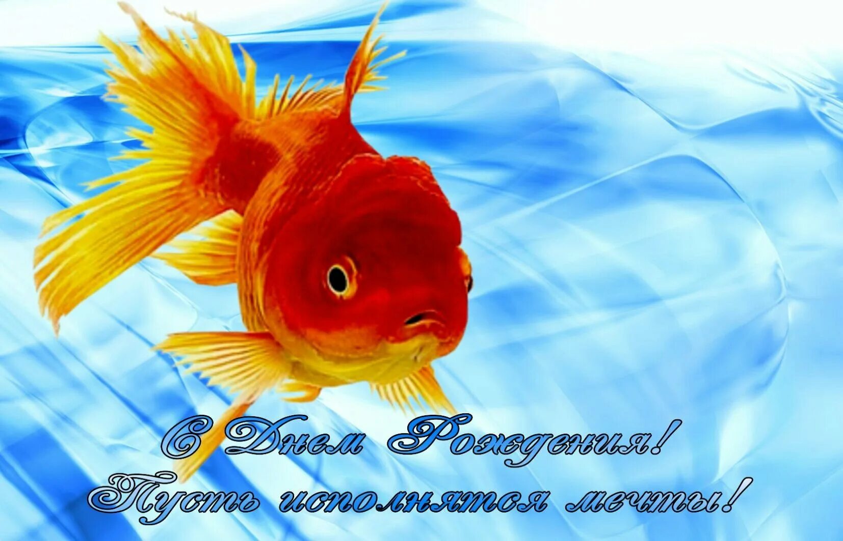 Днем рождения исполнения. С днем рождения рыбка. с днём рождения рыбы поздравления картинки. поздравления с днем рождения рыбка. с днем рождения щолотая рыба.