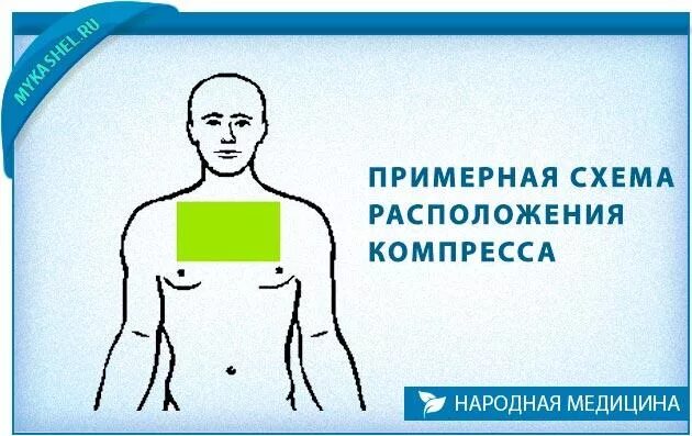 Капустный лист на грудную клетку. Капуста на грудь от кашля. компресс на грудную клетку при сухом кашле. расположение компресса при кашле.