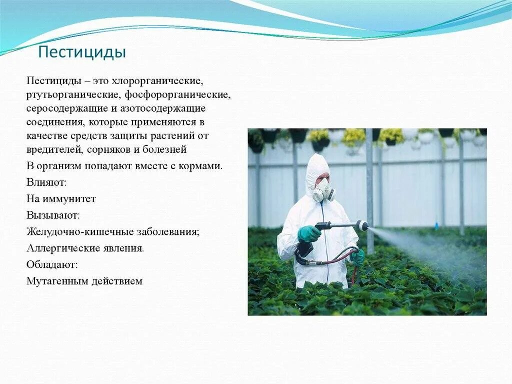 Пестициды препараты. Пестициды. пестициды это. пестициды и гербициды. пестициды в сельском хозяйстве классификация.