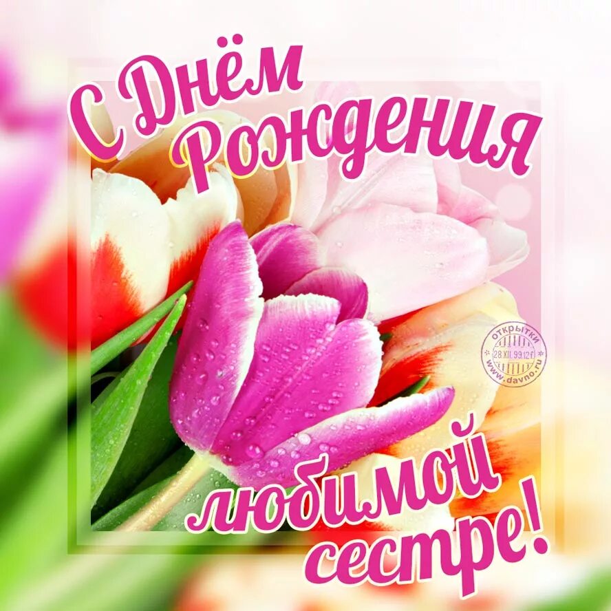 Пин на доске с днем рождения С днем рождения сестра, С днем рождения, Сестренки