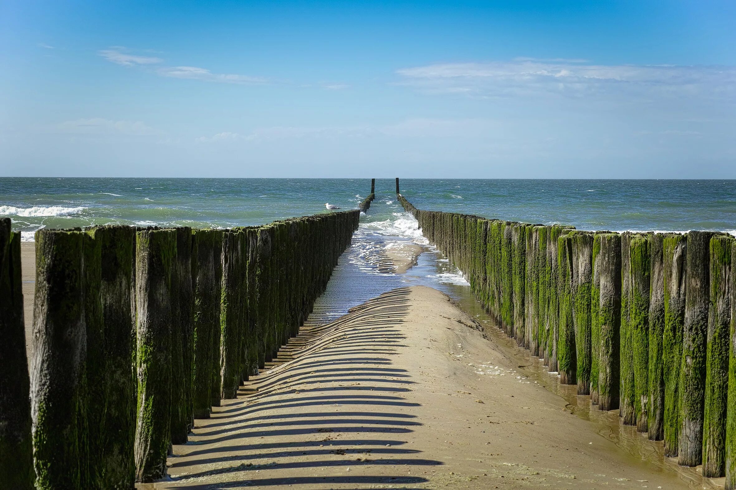 Северное море нидерланды. Фиолент маяк. Северное море пляж. Нидерланды море. Cadzand нидерланды.