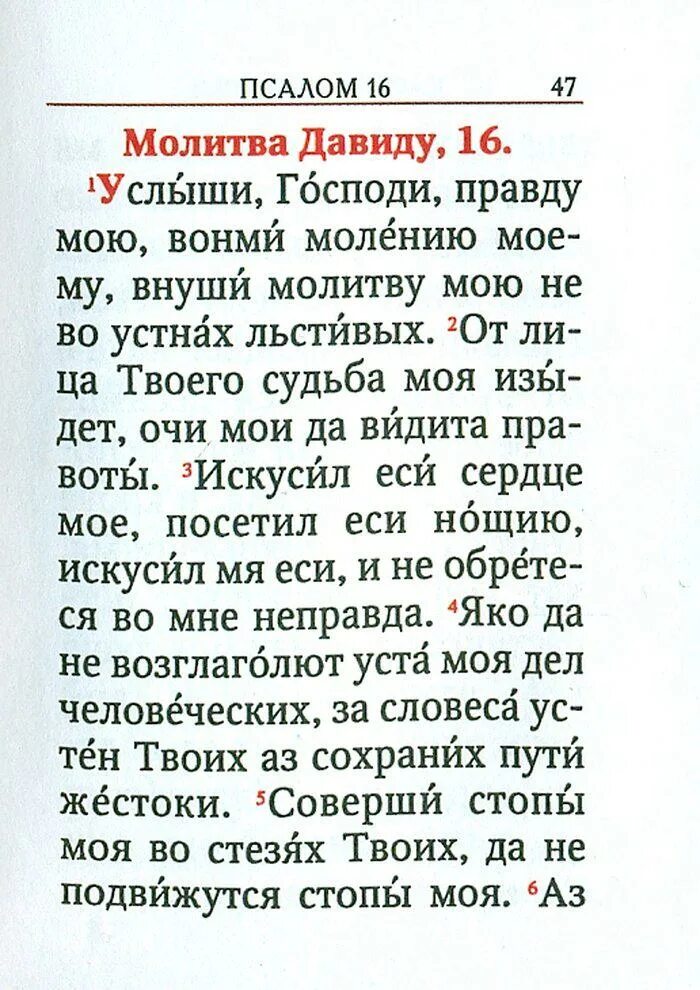Псалом 81. Молитва царю давиду. молитва помяни господи царя давида и кротость. молитва царя давида защитная. молитва псалом давида.