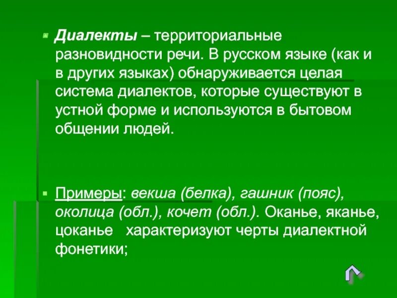 Диалекты. Что такое диалектизмы в русском языке. Диалекты как часть народной культуры. Диалекты русского языка.