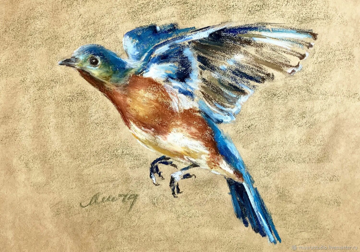Blue Bird Layer Paint by charfade on DeviantArt Bird drawings, Bird pictures, Bi