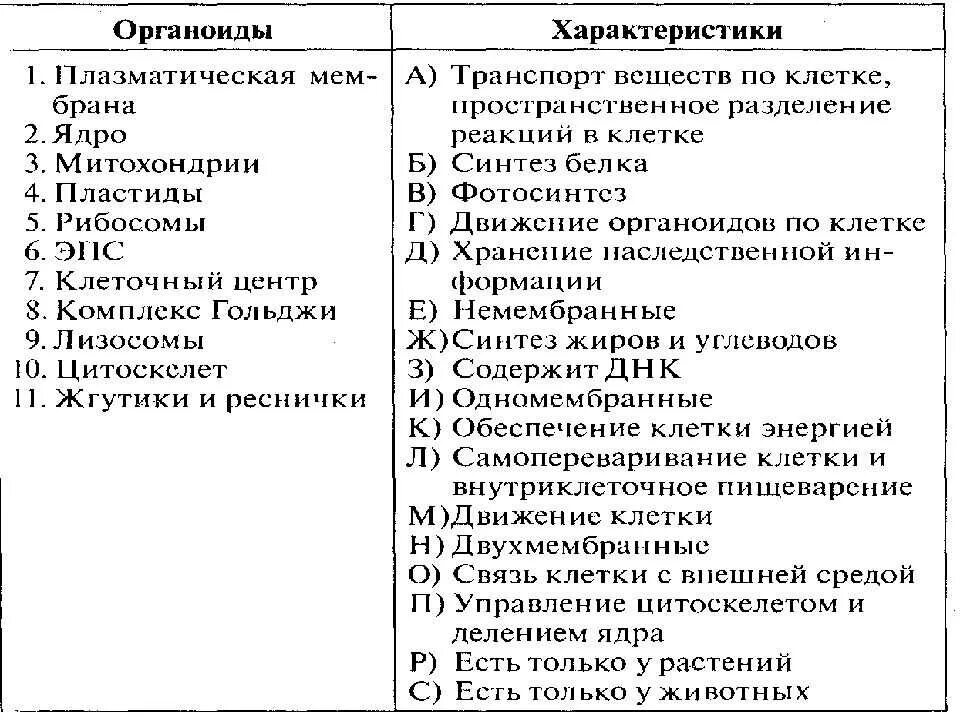 Тест строение клетки 5 класс ответы. Проверочная работа по биологии 5 класс клеточное строение клетки. тест по биологии 9 класс строение клетки и органоиды. проверочная работа по биологии 10 класс строение клетки с ответами. тест органоиды клетки 10 класс.