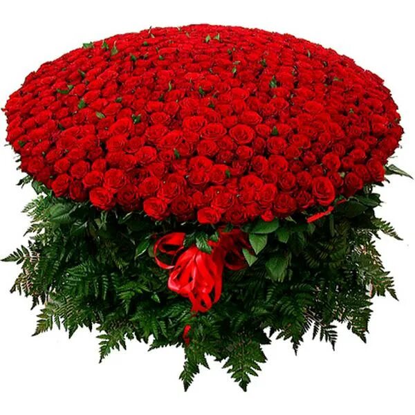 С днем рождения огромные розы. Красивые большие букеты. Красивый букет роз. Шикарный букет роз. Огромный букет.