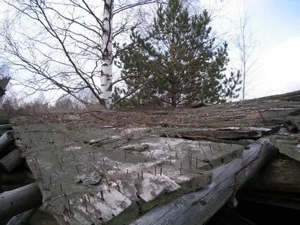Курша 2