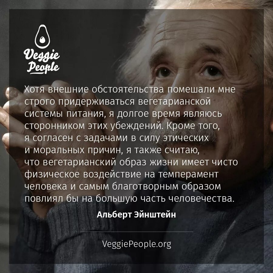 Эйнштейн цитаты. Высказывания альберта эйнштейна. афоризмы альберта эйнштейна. цитаты альберта эйнштейна.