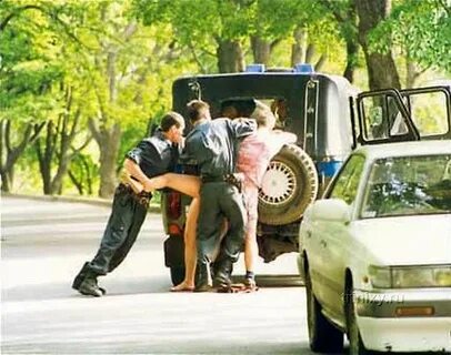 Жизнь трудна и опасна