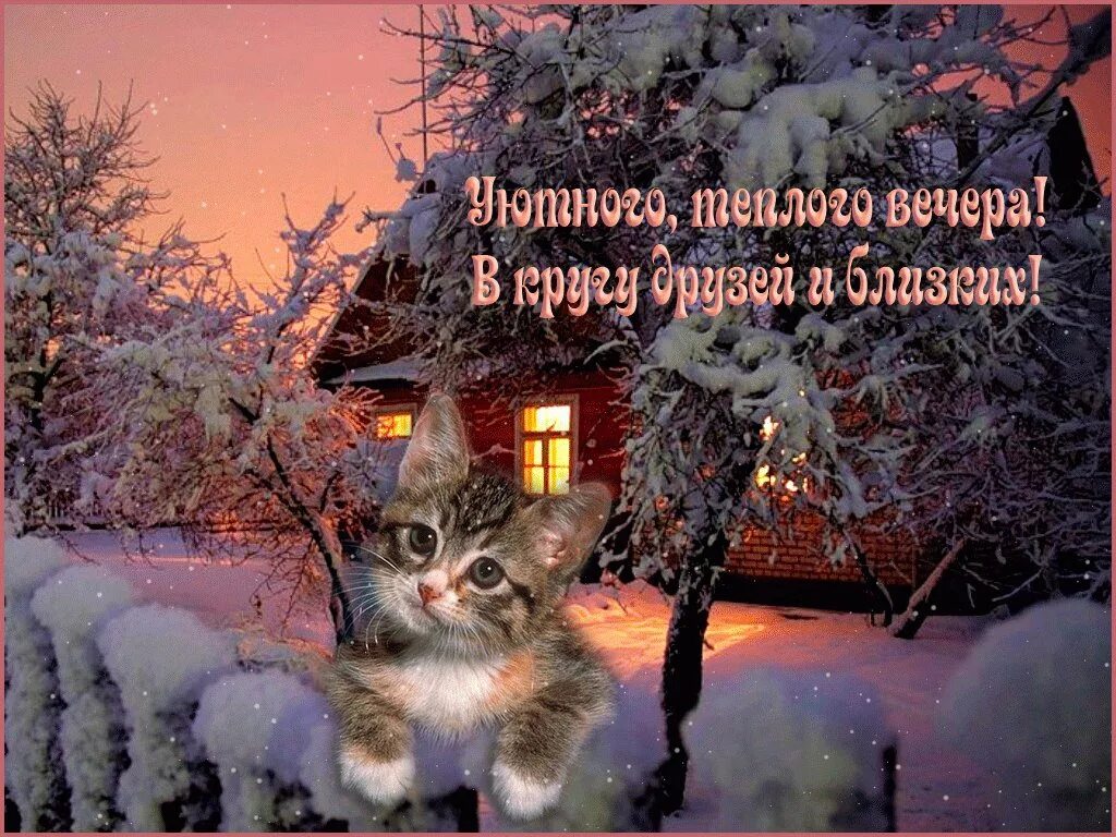 Добрый зимний вечер картинки прикольные с надписями. Приятного зимнего вечера. доброго зимнего вечера. уютный зимний вечер. уютного зимнего вечера и хорошего настроения.