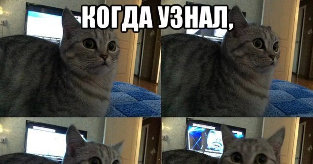 Ну не знаю там что нибудь