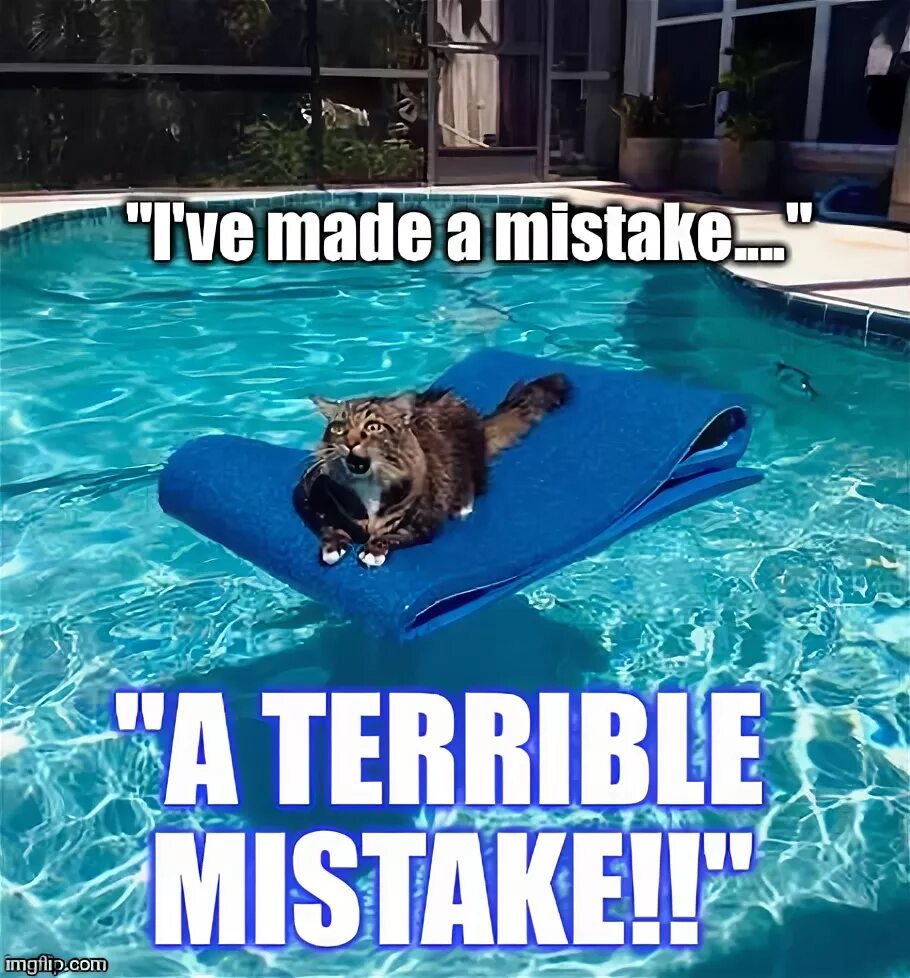 I've made a terrible mistake. Make a terrible mistake. Pool Cat лицо. ОУ terrible mistake. Did you make mistakes