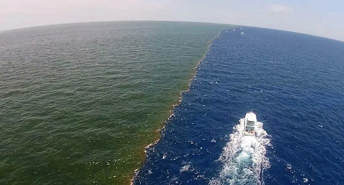 Что называется морем заливом