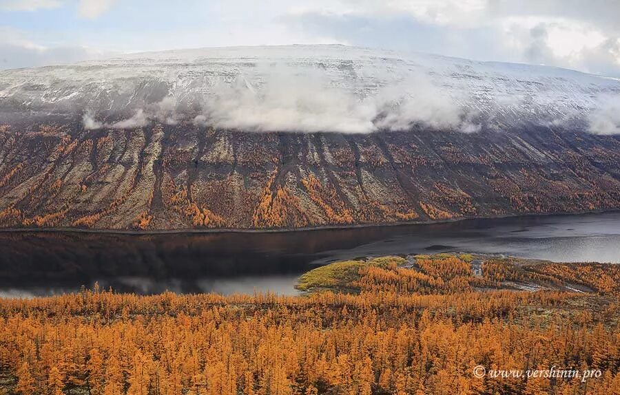 Плато в средней сибири. Таймыр плато Путорана. Путорана Красноярский край. Сибирское плато Путорана. Плато Путорана площадь.