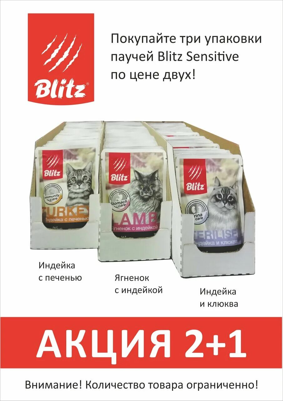 Блиц реклама. Окна рехау реклама. Золото в вот блиц за просмотр рекламы. Блиц реклама. Блиц реклама.