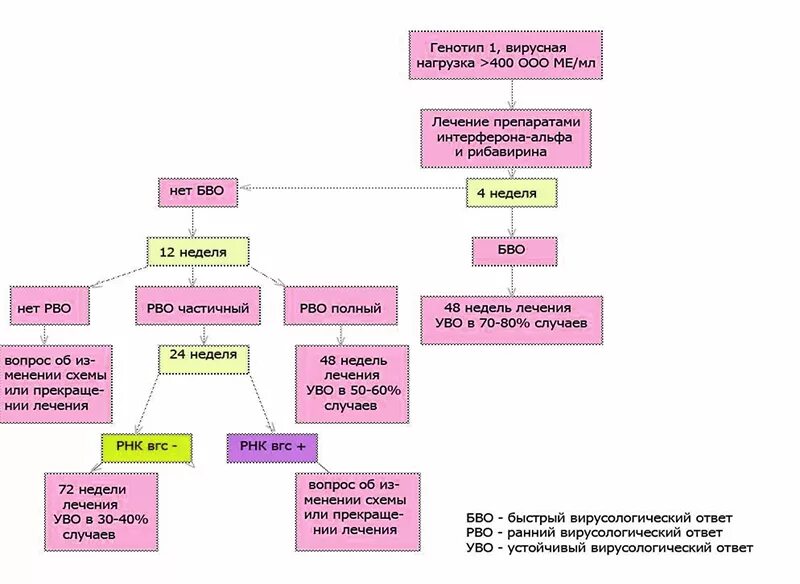 Лечение гепатита генотипы. Генотипы вируса гепатита с. Генотипирование схема. Вирус гепатита с генотипирование РНК 3а/3в. Генотип вирусная нагрузка.