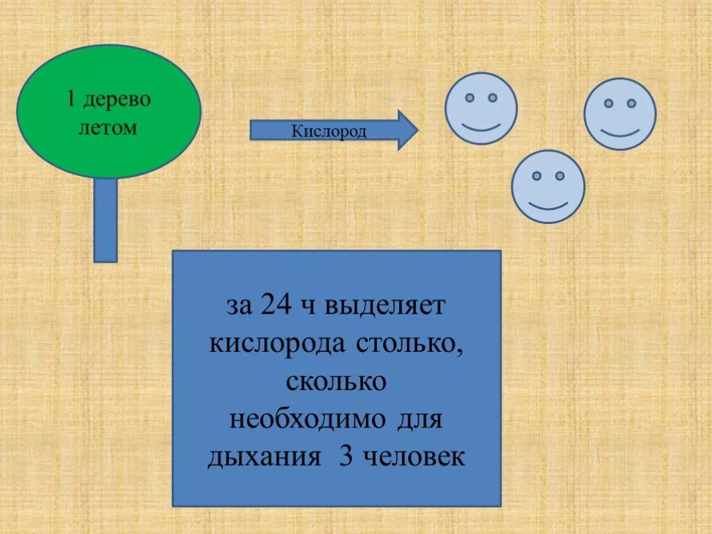 Дерево выделяет кислород и человек. Сколько кислорода выделяет одно дерево в сутки. Сколько выделяет кислорода 1 дерево. Деревья производят кислород.
