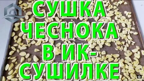 Чеснок в сушилке для овощей