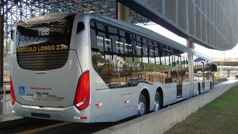 Buses but